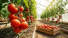 Vedci zistili, že rastliny v strese kričia a hmyz to počuje